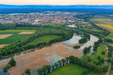 Rallengraben Lampertheimer Altrhein in Lampertheim in the state Hesse, Germany