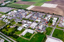 Building and production halls on the premises of the chemical manufacturers BASF Lampertheim GmbH in Lampertheim in the state Hesse, Germany