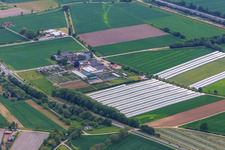 Aerial photograpy of Lindenhof Flowers in the district Auerbach in Bensheim in the state Hesse, Germany