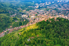 Vineyards below the Starkenburg castle ruins in Heppenheim in the state Hesse, Germany