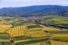 Fields and vineyards to the Palatinate Forest in Oberotterbach in the state Rhineland-Palatinate, Germany