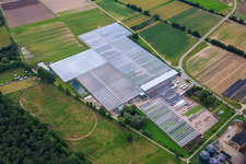 Greenhouses of Rudolf Sinn Jungpflanzen GmbH & Co. KG in the district Niederlustadt in Lustadt in the state Rhineland-Palatinate, Germany