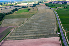 Oblique view of Grain field with storm damage in the district Geinsheim in Neustadt an der Weinstraße in the state Rhineland-Palatinate, Germany