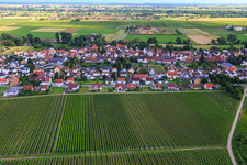Aerial view of Eighteen Acre Path from the north in the district Duttweiler in Neustadt an der Weinstraße in the state Rhineland-Palatinate, Germany