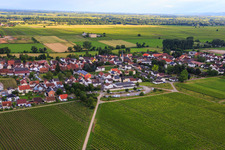Red Bone Dog School in the district Duttweiler in Neustadt an der Weinstraße in the state Rhineland-Palatinate, Germany