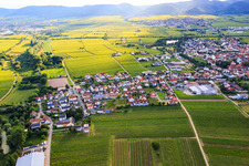 View of the town from the east in Kirrweiler in the state Rhineland-Palatinate, Germany