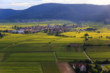 Aerial view of View of the town from the east in Rhodt unter Rietburg in the state Rhineland-Palatinate, Germany