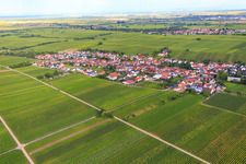View of the town from the northwest between vineyards in Roschbach in the state Rhineland-Palatinate, Germany