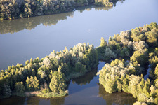 Isarauwald in the district Oberhöcking in Landau an der Isar in the state Bavaria, Germany