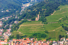 Strahlenburg castle ruins between vineyards in Schriesheim in the state Baden-Wuerttemberg, Germany