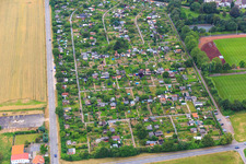 Allotment garden of the Garden Friends Himmelswiese eV on Baumschulenweg in the district Pfaffengrund in Heidelberg in the state Baden-Wuerttemberg, Germany
