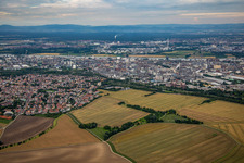District Oppau in Ludwigshafen am Rhein in the state Rhineland-Palatinate, Germany out of the air