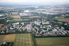 District Pfingstweide in Ludwigshafen am Rhein in the state Rhineland-Palatinate, Germany seen from above