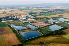 Building and production halls on the premises of Suedzucker AG Mannheim/Ochsenfurt in the district Neuoffstein in Obrigheim (Pfalz) in the state Rhineland-Palatinate, Germany