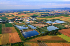 Aerial view of Production facilities and tanks of Südzucker AG and BENEO - Palatinit GmbH in Obrigheim in the state Rhineland-Palatinate, Germany