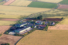 Farm on the edge of cultivated fields in Orbis in the state Rhineland-Palatinate, Germany