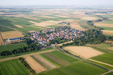 Rheinhessen in Friesenheim in the state Rhineland-Palatinate, Germany