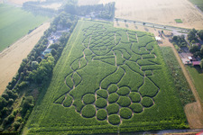 Maze - Labyrinth with the outline of of a Grape in a field in the district Wahlheimer Hof in Dalheim in the state Rhineland-Palatinate
