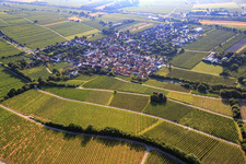 Wine-growing village between vineyards in Ludwigshöhe in the state Rhineland-Palatinate, Germany