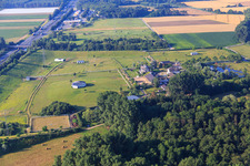 Wolf Stud in Bickenbach in the state Hesse, Germany