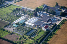 Glass roof surfaces in the greenhouse rows for Floriculture in the district Auerbach in Bensheim in the state Hesse