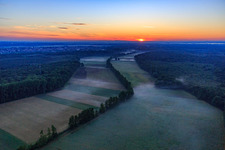 Oblique view of Sunrise in the Otterbachtal with morning mist in Kandel in the state Rhineland-Palatinate, Germany