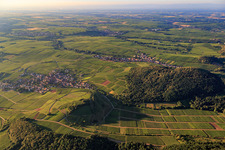 Kastanienbusch vineyard from the northeast in Birkweiler in the state Rhineland-Palatinate, Germany