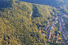 Ringelsbergstraße under the limestone cliffs in Frankweiler in the state Rhineland-Palatinate, Germany