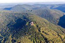 Aerial view of Castle of the fortress Rietburg in Rhodt unter Rietburg in the state Rhineland-Palatinate, Germany