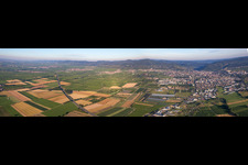 Panorama of the A65 in SÜW in Neustadt an der Weinstraße in the state Rhineland-Palatinate, Germany