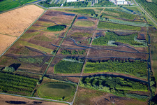 Biotopes on the Rheinschanzinsel in Philippsburg in the state Baden-Wuerttemberg, Germany