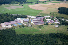 Building of stables Der Pferdestall - Saloon Hobstaetterhof in Einoellen in the state Rhineland-Palatinate