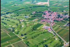 Golf course in Dackenheim in the state Rhineland-Palatinate, Germany seen from a drone