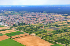 Aerial photograpy of City view from the northwest in Haßloch in the state Rhineland-Palatinate, Germany