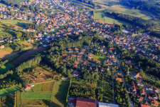 Tree nursery Schmidtlein Hans in Effeltrich in the state Bavaria, Germany