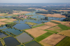 Ponds for fish farming von Karpfen in Grossen Bodenweier in Weisendorf in the state Bavaria, Germany