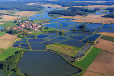 Carp ponds in the Franconian fish pond landscape in the district Oberlindach in Weisendorf in the state Bavaria, Germany
