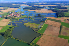 Aerial view of Carp ponds in the Franconian fish pond landscape in the district Oberlindach in Weisendorf in the state Bavaria, Germany