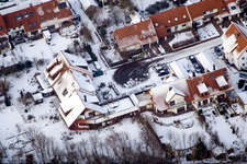 In the cherry orchard in Kandel in the state Rhineland-Palatinate, Germany