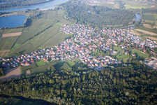 Dalhunden in the state Bas-Rhin, France