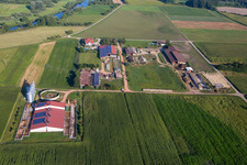 Homestead of a farm von Herbert Wollenbaer in the district Ichenheim in Neuried in the state Baden-Wurttemberg, Germany