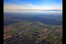 View over the Rhine plain from the west in the district Ottenheim in Schwanau in the state Baden-Wuerttemberg, Germany