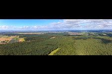 Panorama of an Otterbach clearing in the Bienwald forest towards Jockgrim in Kandel in the state Rhineland-Palatinate, Germany