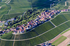 Village - view on the top of wine yards in Hohenhaslach in the state Baden-Wurttemberg, Germany