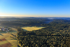 Forest clearing in the district Winzenweiler in Gaildorf in the state Baden-Wuerttemberg, Germany