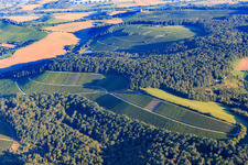 Vineyards and forest in the district Schmidhausen in Beilstein in the state Baden-Wuerttemberg, Germany
