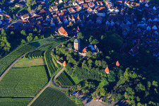 Aerial view of Castle Falconry at Hohenbeilstein Castle in Beilstein in the state Baden-Wuerttemberg, Germany