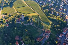 Castle falconry in Hohenbeilstein Castle over vineyard terraces and the old town in Beilstein in the state Baden-Wuerttemberg, Germany
