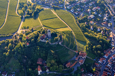 Aerial view of Castle falconry in Hohenbeilstein Castle over vineyard terraces and the old town in Beilstein in the state Baden-Wuerttemberg, Germany