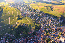Aerial photograpy of Castle falconry in Hohenbeilstein Castle over vineyard terraces and the old town in Beilstein in the state Baden-Wuerttemberg, Germany